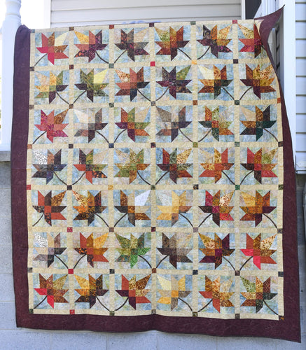 Full/Queen Quilt